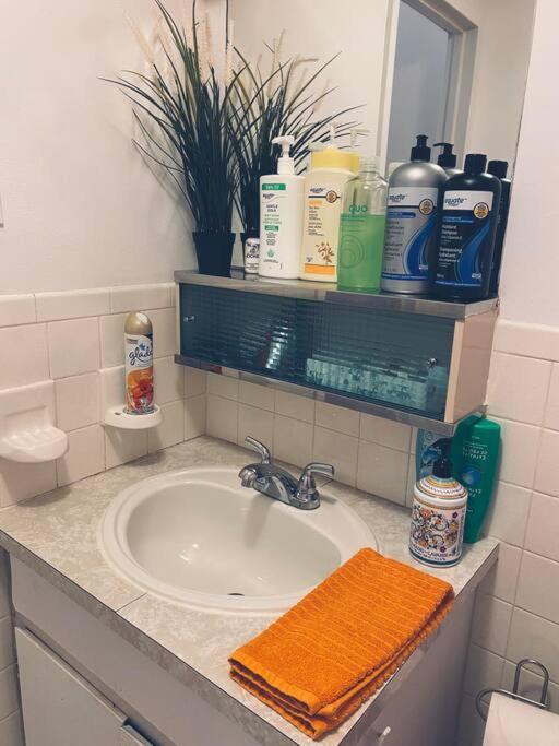 ケベックシティEntire Loft - Elevator - Balcony - Free P - 10M Downtownアパートメント エクステリア 写真